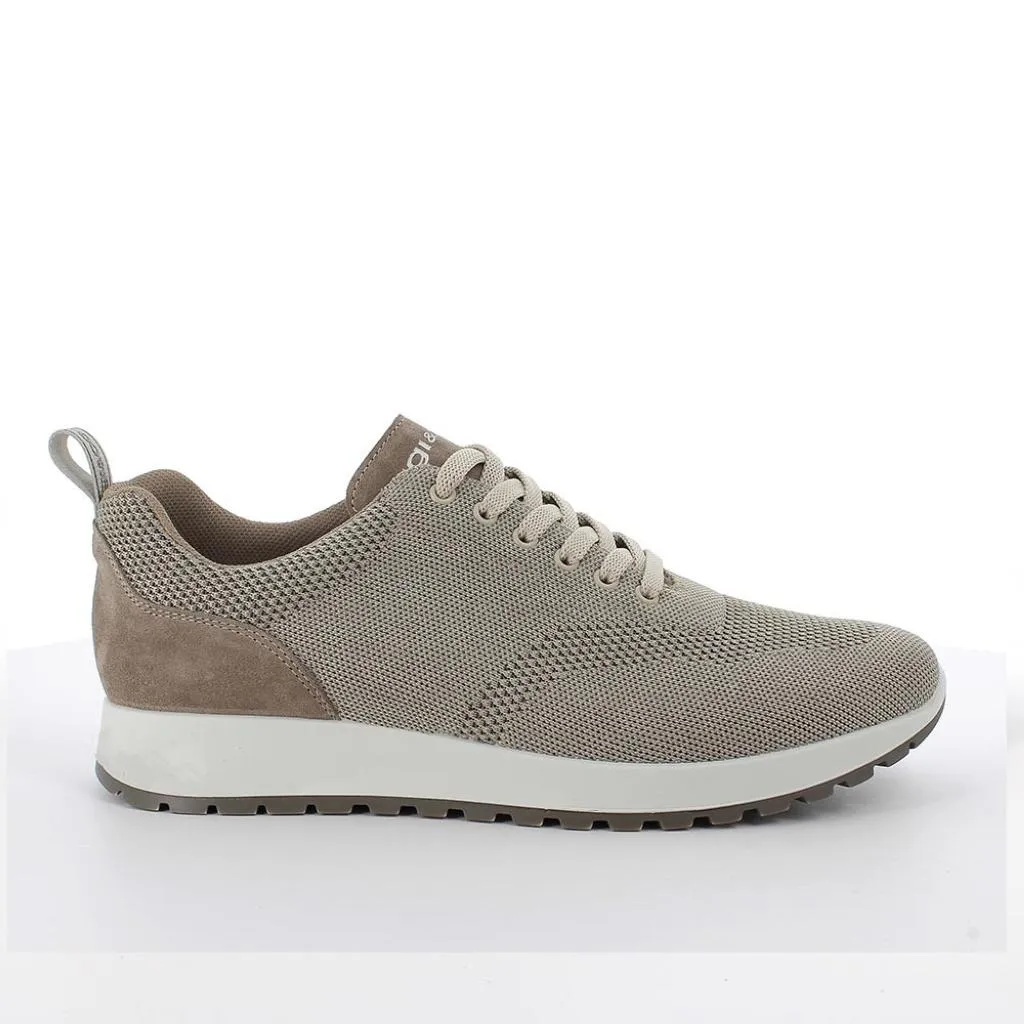 Igi & Co  ---------    ------------Igi&co sneakers uomo 3627222 memory foam  PE23