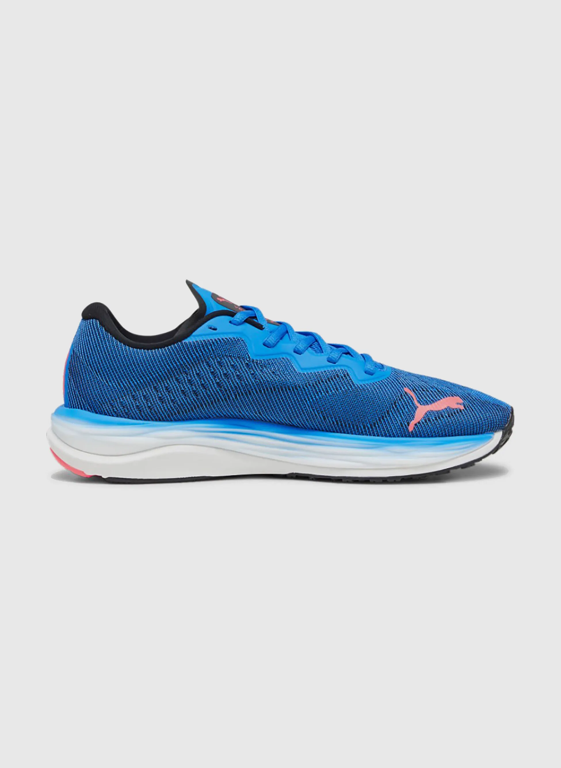 scarpa velocity nitro 2