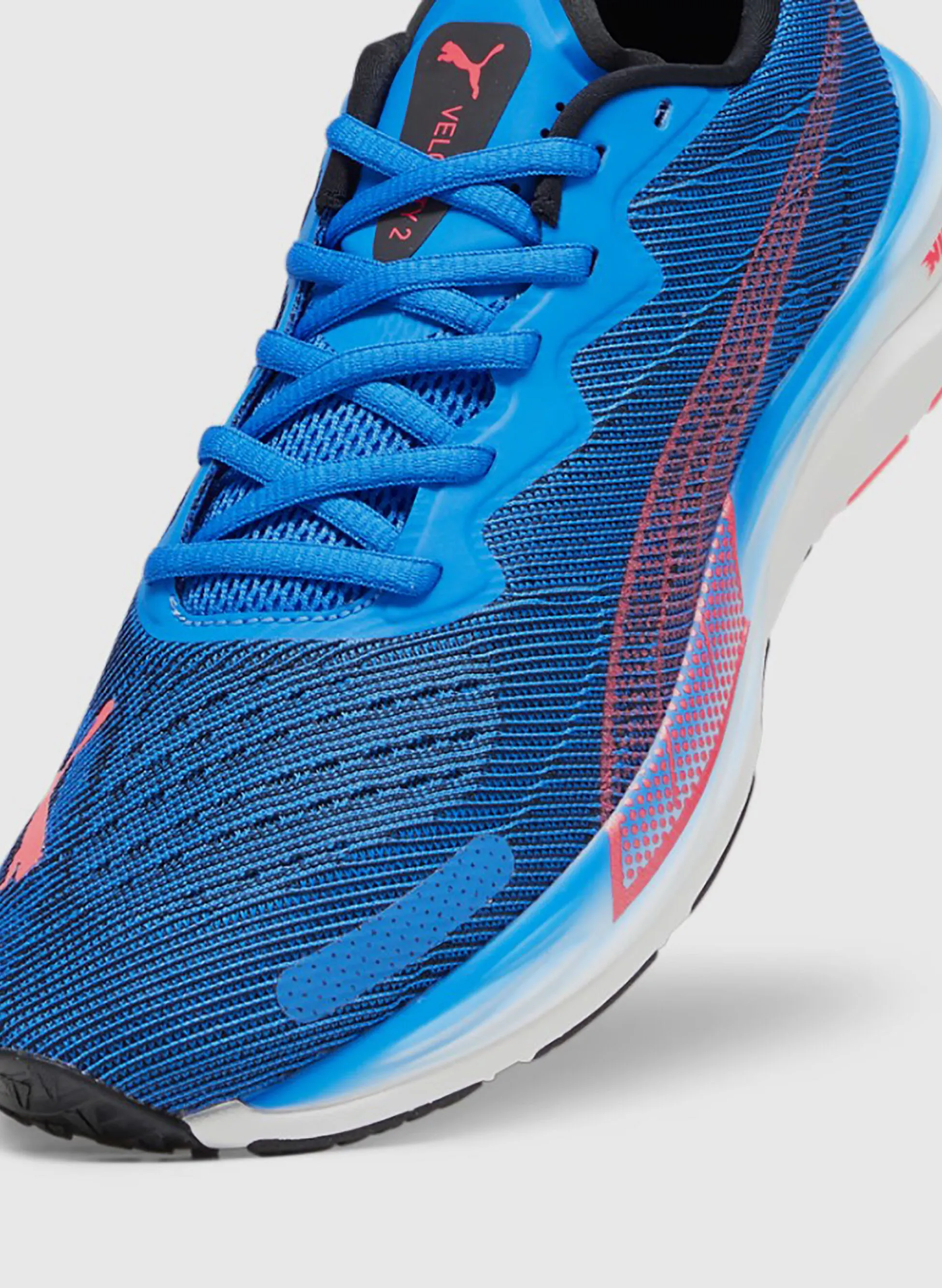 scarpa velocity nitro 2